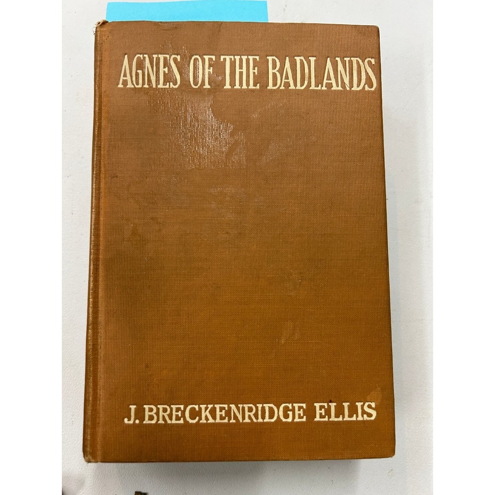 Agnes of the Badlands J. Breckenridge Ellis‎ 1916 Illustrated Fiction Macaulay